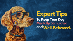 Unleash Your Pup’s Inner Genius: Expert Tips for a Mentally Stimulated and Well-Behaved Dog
